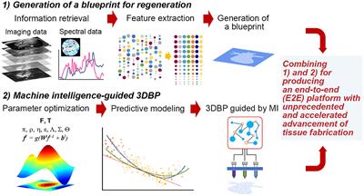 Engineering Tissue Fabrication With Machine Intelligence: Generating a Blueprint for Regeneration